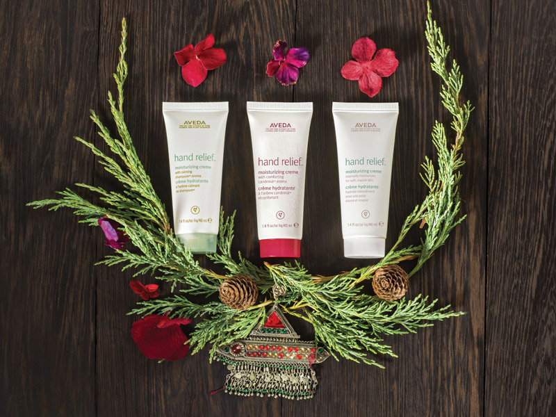 AVEDA_2016holidaygifts03