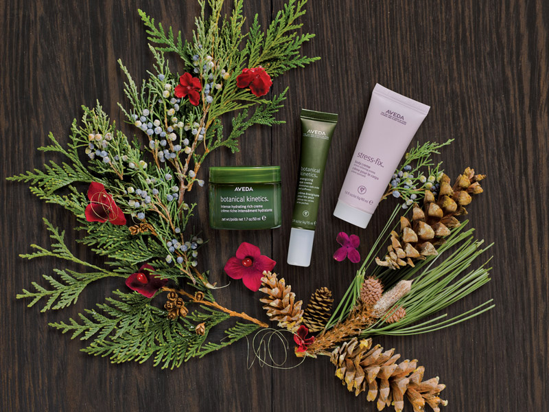 AVEDA_2016holidaygifts04