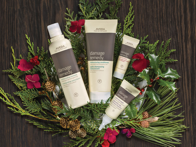 AVEDA_2016holidaygifts06