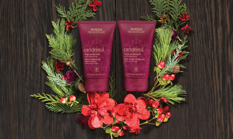 AVEDA_2016holidaygifts_y