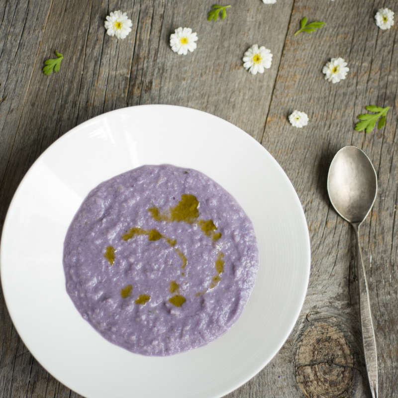 creansesoup-purple-s