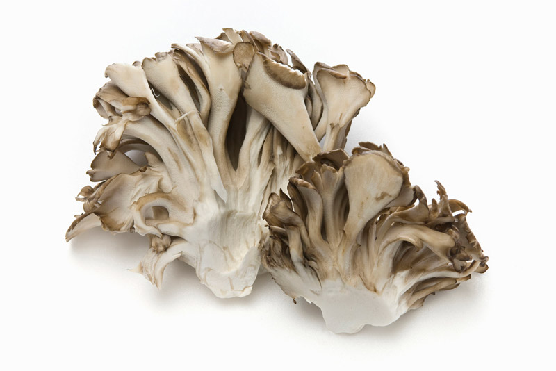 Maitake06