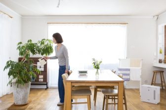 冬の部屋の乾燥対策には霧吹き、部屋干し、観葉植物のコンボが有効