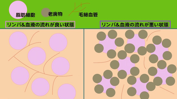 リンパ＆血液の流れが良い状態を説明するイラスト