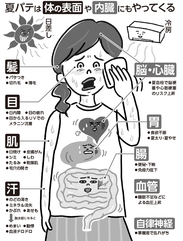 夏バテを体に表した女性の上半身のイラスト。肌や髪など場所ごとに紹介