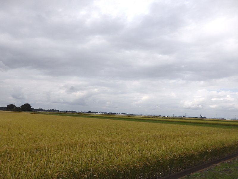 茨城の風景