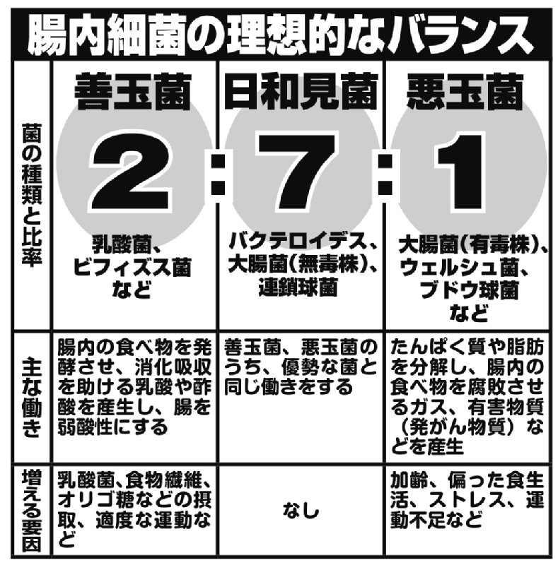 腸内細菌の理想的なバランスは「善玉菌」「日和見菌」「悪玉菌」2：3：1を示した表