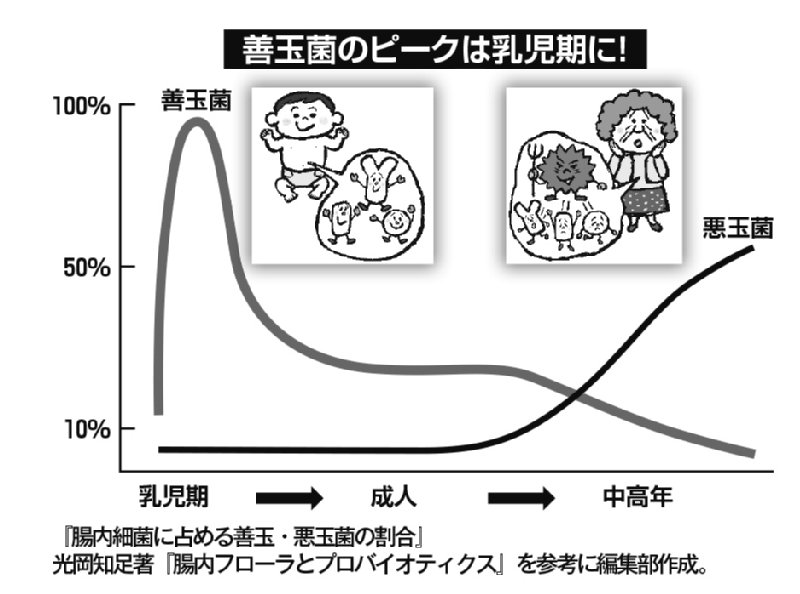 腸内細菌に占める善玉菌・悪玉菌の年齢における割合のグラフ