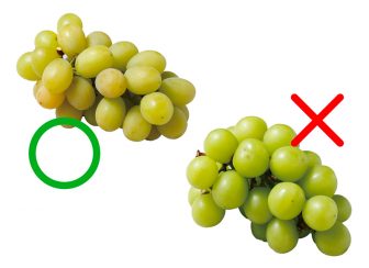 甘い＆おいしいフルーツの見分け方・選び方｜りんご、みかん、梨などについてプロが指南