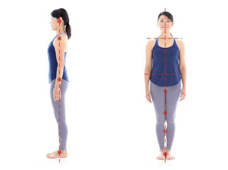 【正面向き】脚を閉じたとき、左右の太ももの付け根、ひざ、ふくらはぎ、くるぶしがつく。左右の肩の高さ、左右の骨盤の高さがそろっている。鼻の中央、あごの中央、おへそが一直線上にある。【横向き】骨盤がまっすぐに立っている。耳、肩、大転子（股関節外側の一番出っ張っている部分）、くるぶしの少し前が一直線上にある。