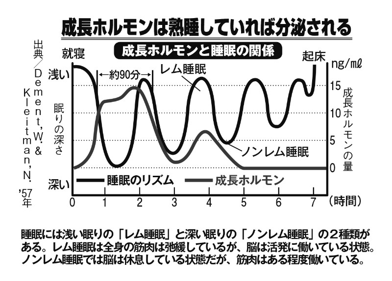 成長ホルモンと睡眠の関係を表したグラフ