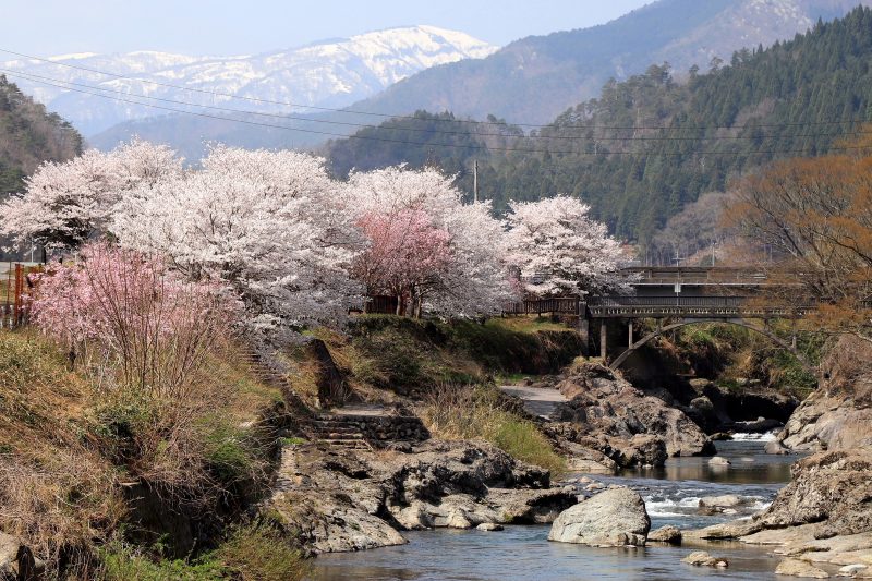 兵庫県養父（やぶ）市