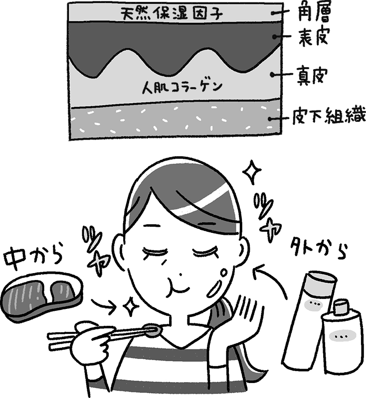 女性が食べて、化粧品で潤して美肌になっているイメージイラスト