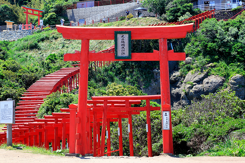 朱塗りの鳥居が山の上まで連なって建っている