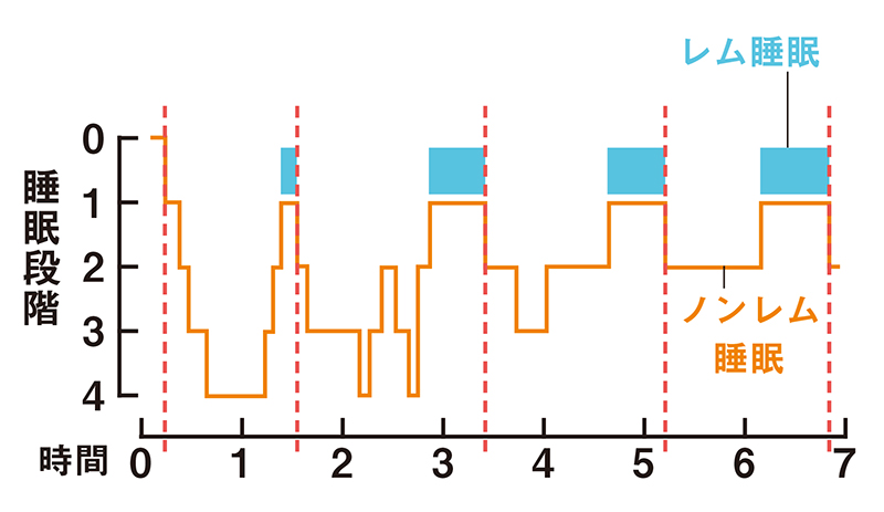 レム睡眠とノンレム睡眠を時間ごとにどのくらいの睡眠状態かを表したグラフで