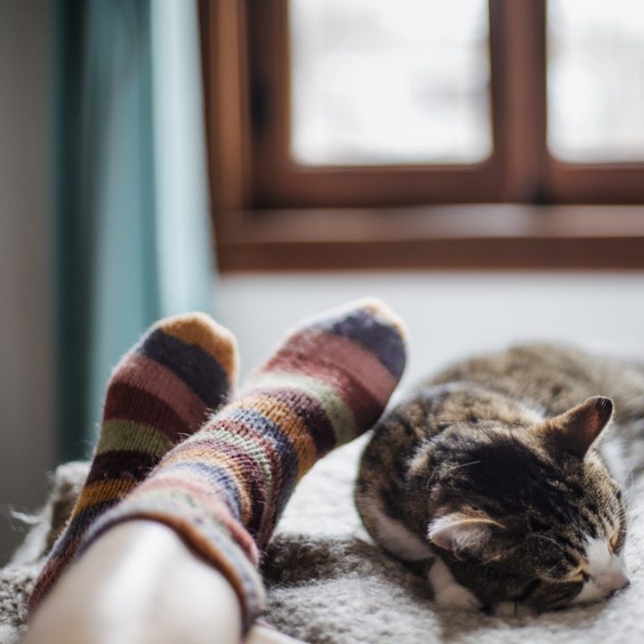 靴下をはいた足と猫