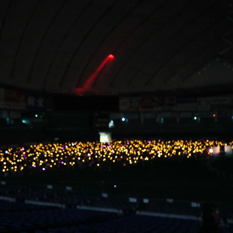 LEDライトが幻想的に光る東京ドーム