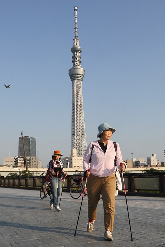 桜橋を渡るオバ記者。ポールをつくと、自然と背筋が伸びて、後ろ脚も伸びる