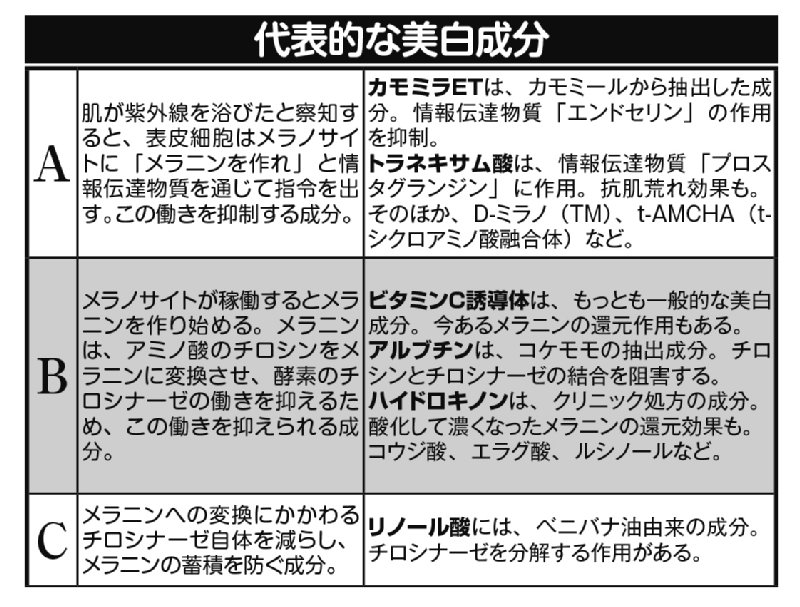 代表的な美白成分とその特徴を表した表