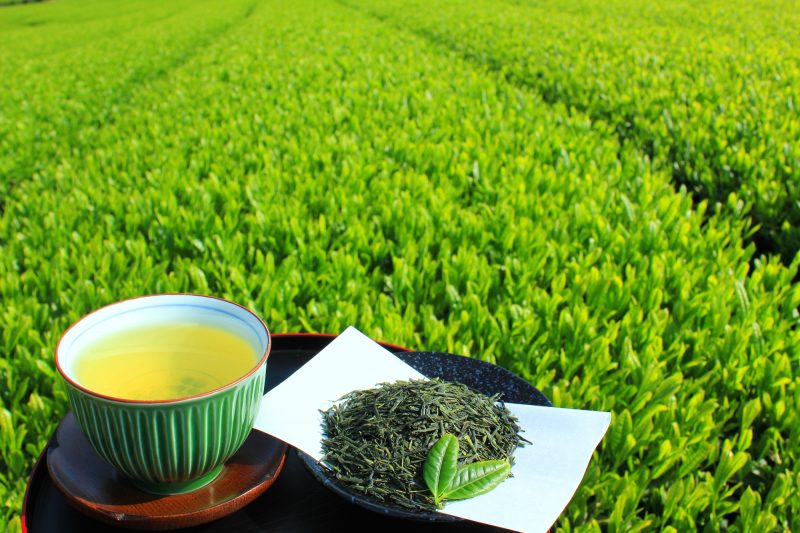 茶畑を背景に茶碗に入った緑茶と茶葉がお盆にのっている