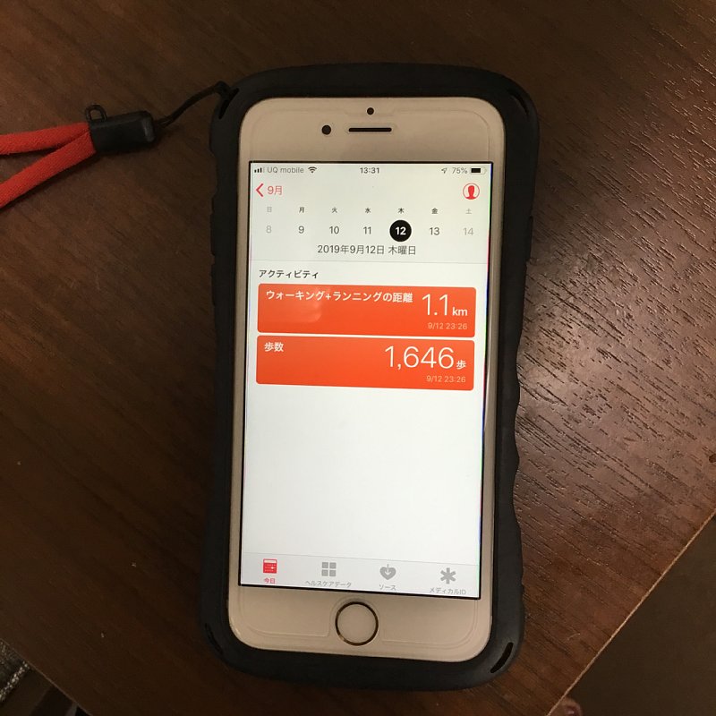 歩数計が示すのは1日たったの1646歩