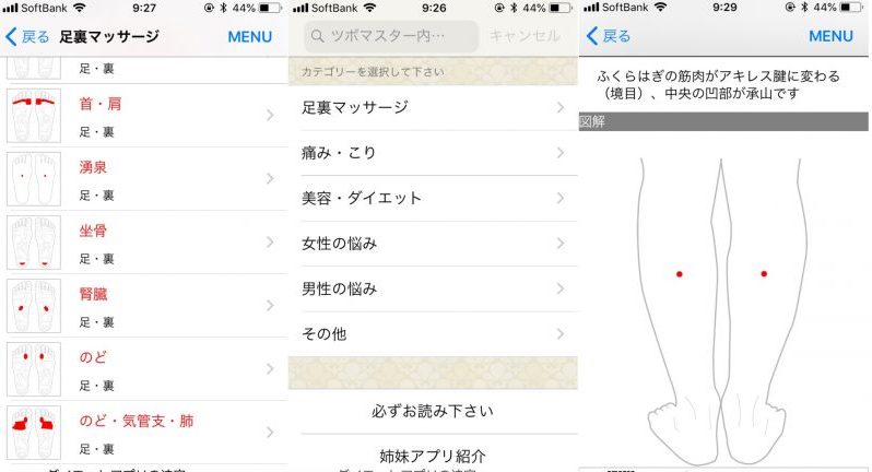 アプリ「ツボマスター」の使用例画面