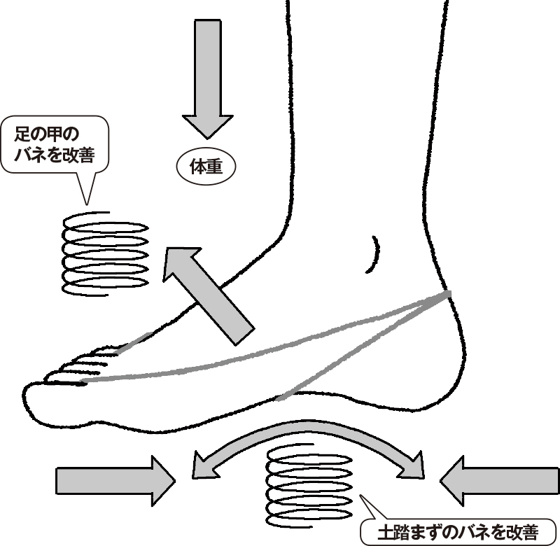 輪ゴムで圧力をかけることにより土踏まずのアーチが自然と鍛えられ、美脚につながる