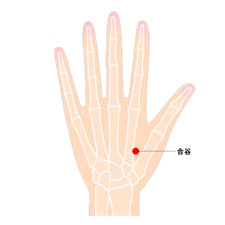 ツボの合谷を図解