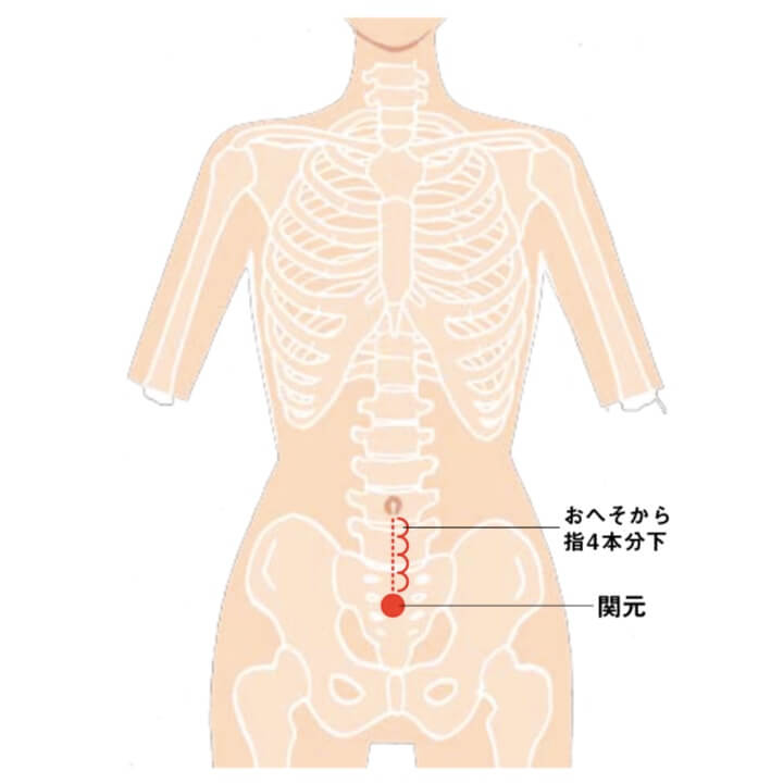 ツボの関元を図解