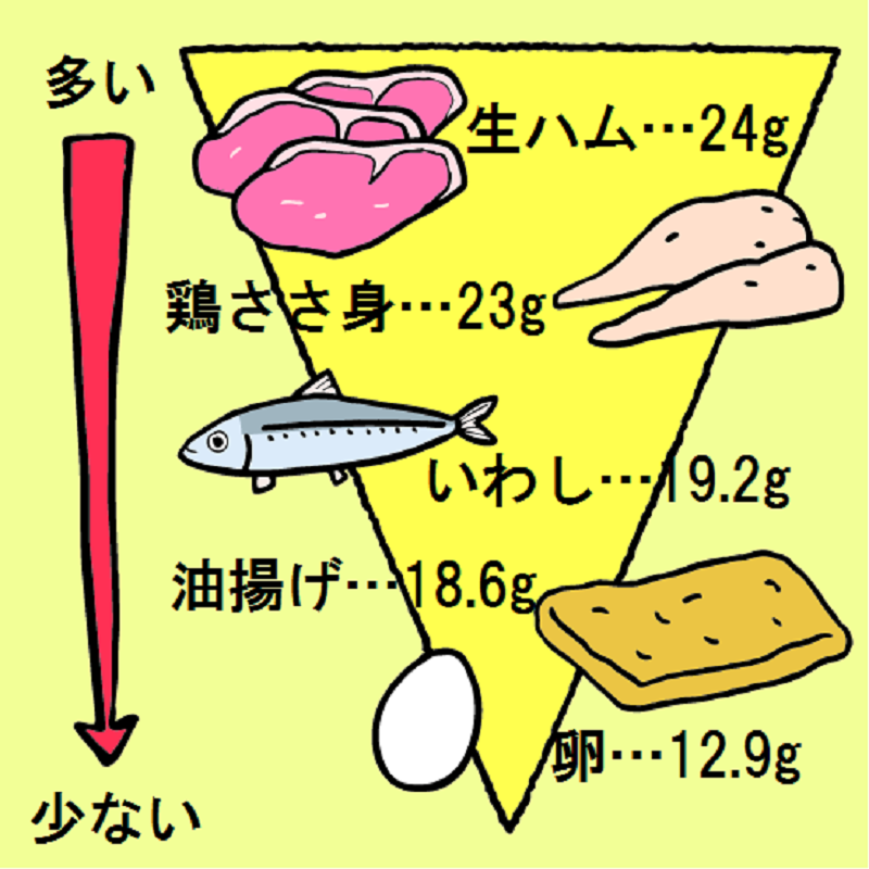 食品に含まれるたんぱく質の量を図式化