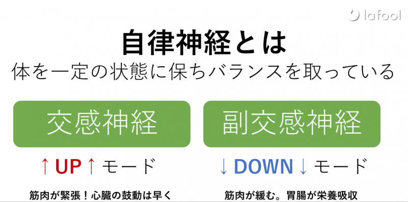 自律神経のしくみ