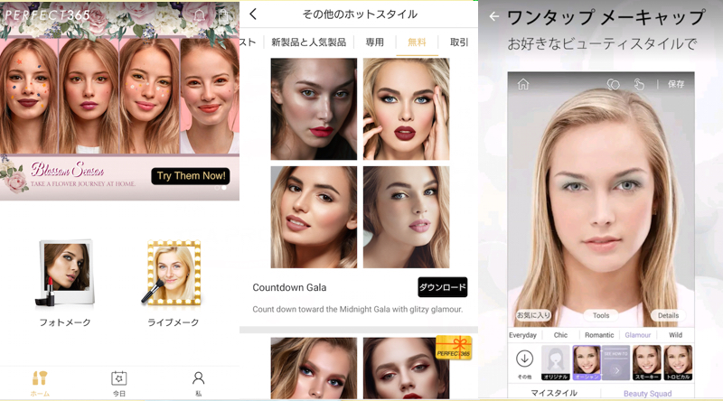 アプリ「PERFECT365」の使用例画面