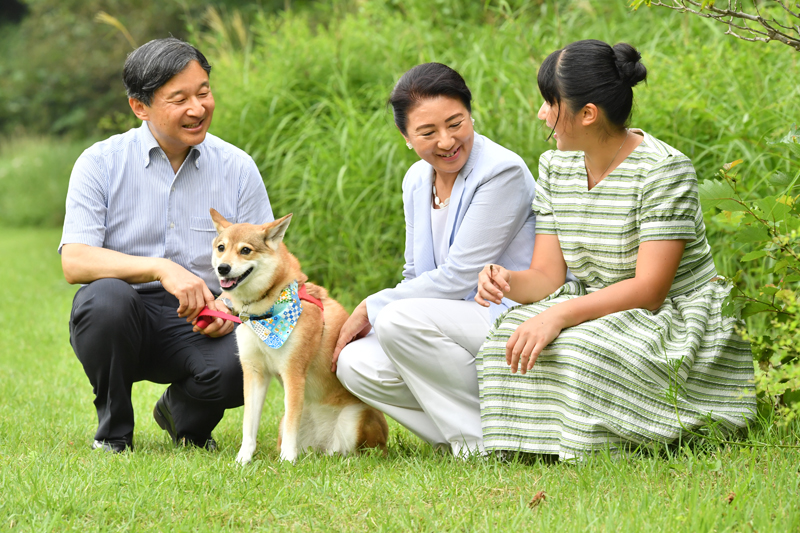 撮影／雑誌協会代表取材