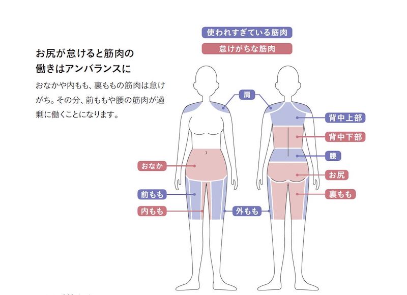 筋肉を説明する人体図