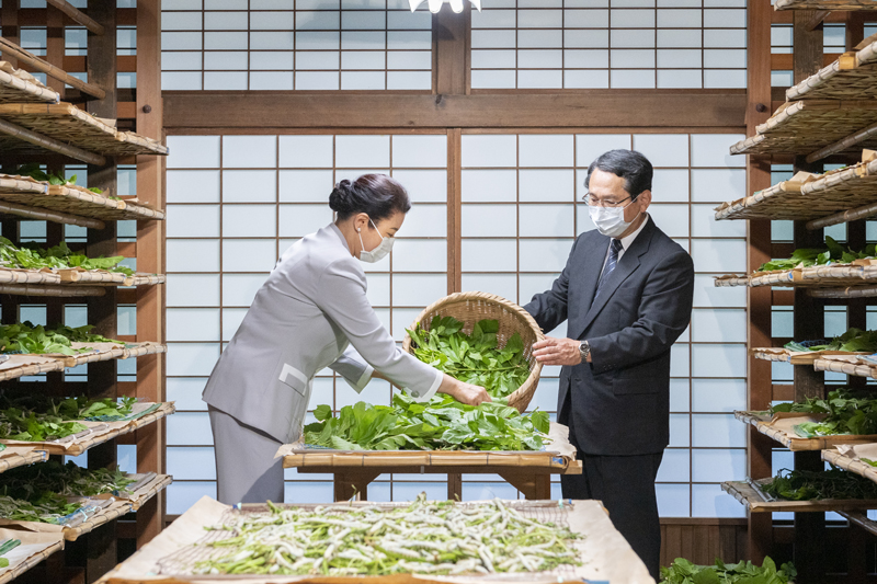 マスク姿で蚕に与える桑の葉を並べられる雅子さま。