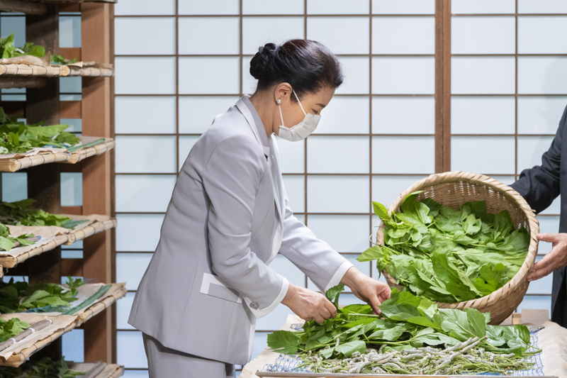 マスク姿で蚕に与える桑の葉を並べられる雅子さま