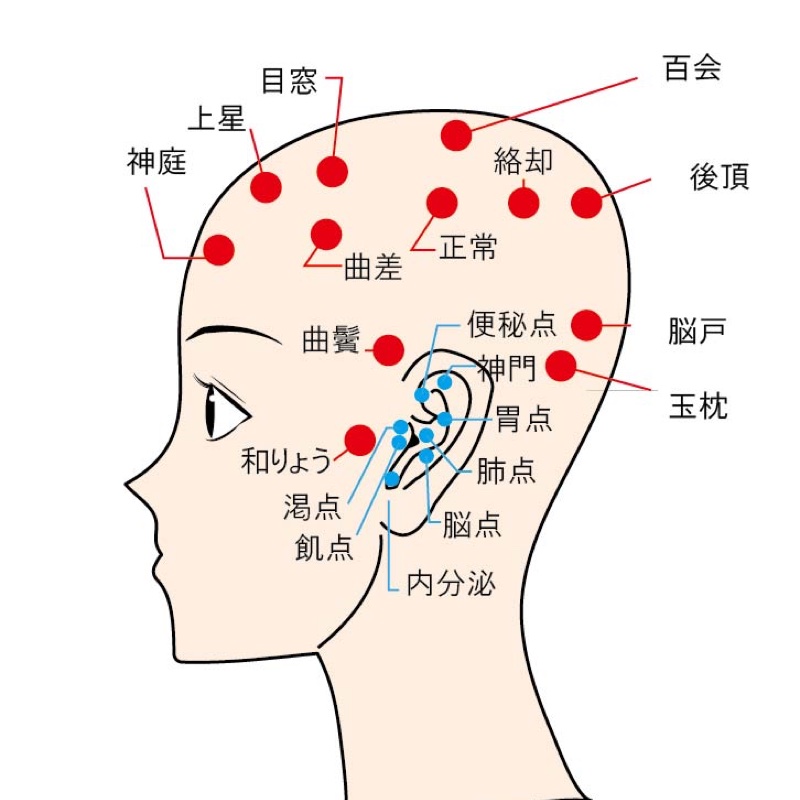 頭のツボを図解したイラスト