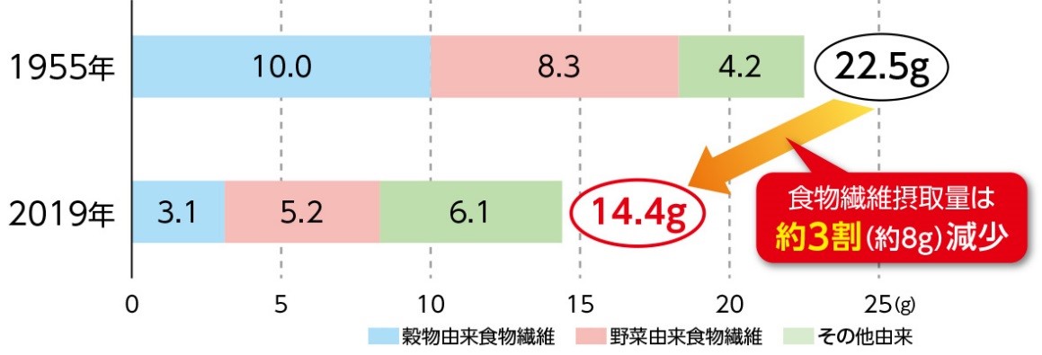 食物繊維の摂取量グラフ