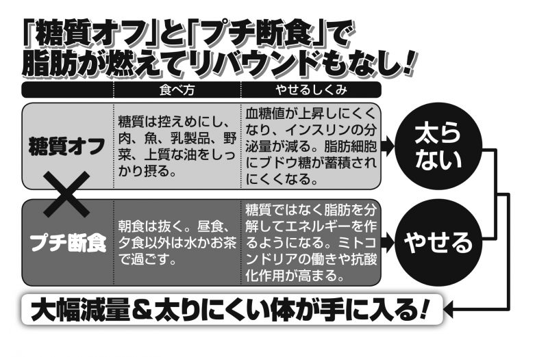 低糖質オフとプチ断食の食べ方とやせる仕組みを図表化したもの