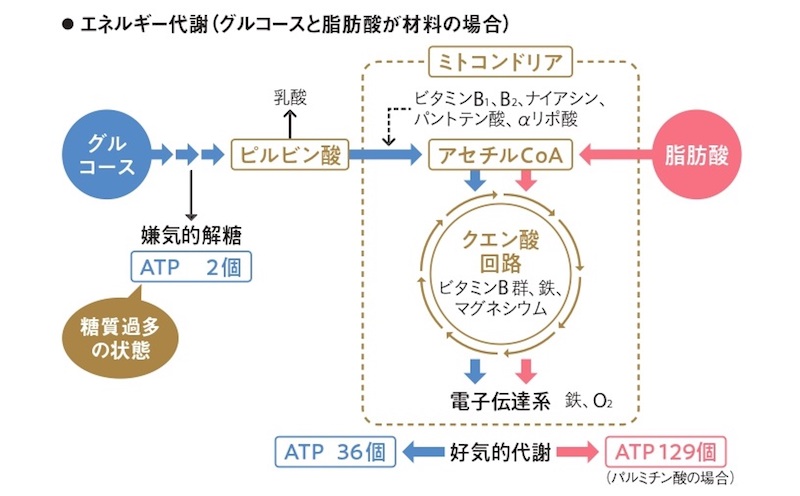 『医師が教える！不調を自分で治す実践レシピ』（世界文化社）より