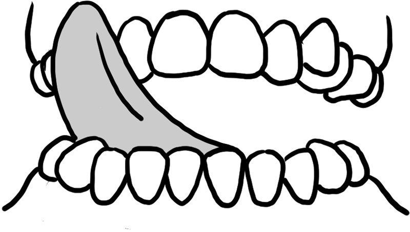 舌を伸ばして歯茎の表面をなぞる