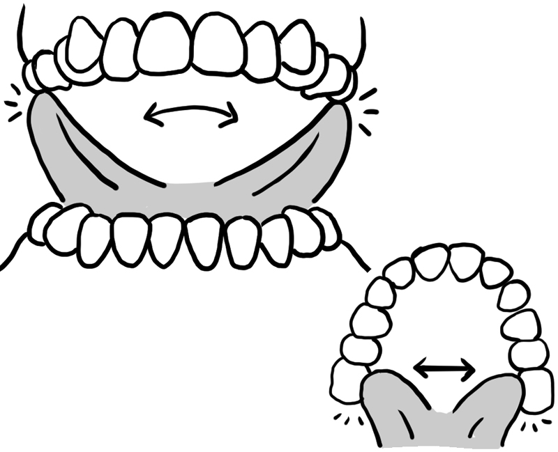 外側と内側の歯茎をなぞり終えたら、舌を伸ばしていちばん奥の歯にさわる