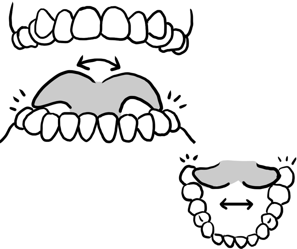 上あごのいちばん奥の、右と左の歯を舌でさわる