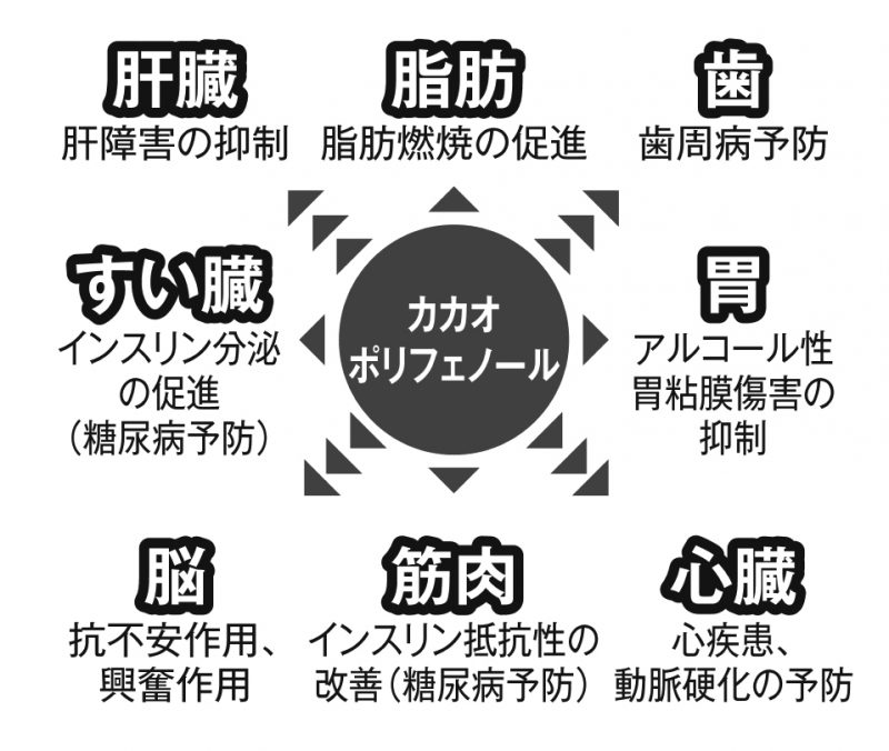 チョコレートの効果を図表化したもの