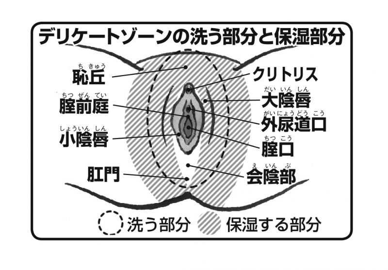 デリケートゾーンの洗う部分と保湿部分を示したイラスト