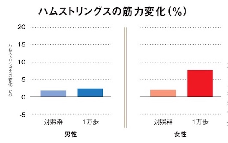 ハムストリングスの筋力変化のグラフ