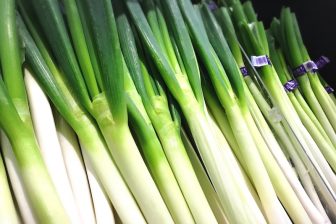 長ねぎは縦にして冷蔵庫へ！おいしさを保つ保存法を野菜ソムリエプロが伝授