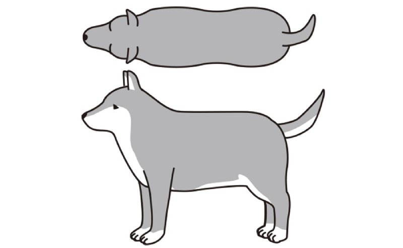 BCS5（肥満）の犬のイラスト