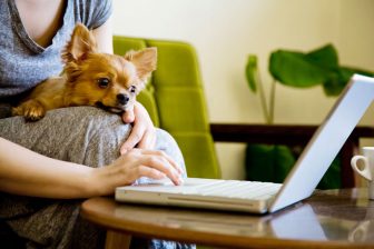 飼い主の“ステイホーム”が続くのは犬や猫にはストレス？ペットが出すサインに注意を