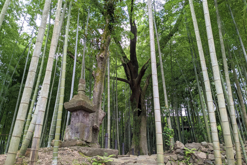 「瑜伽山園地」